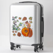 Roodeekhoorn Bot Zuurt Pine Kone blaast Rustige Sticker (Koffer)