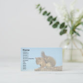 Roodeekhoorn krabt visitekaartje (Staand voorkant)