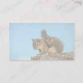 Roodeekhoorn krabt visitekaartje (Achterkant)