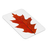 Roodeik herfstblad magneet (Rechterzijde)