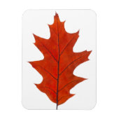 Roodeik herfstblad magneet (Verticaal)