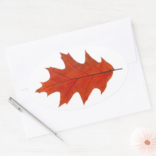 Roodeik herfstblad ovale sticker (Envelop)