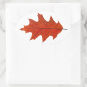 Roodeik herfstblad ovale sticker (Tas)