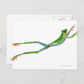 Roodeogboomkikker springt briefkaart (Voorkant / Achterkant)