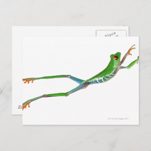 Roodeogboomkikker springt briefkaart (Voorkant / Achterkant)