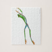 Roodeogboomkikker springt legpuzzel (Verticaal)