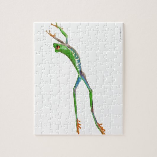 Roodeogboomkikker springt legpuzzel (Verticaal)