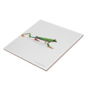 Roodeoogboomkikker lopen tegeltje (Zijkant)