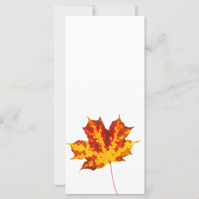 Roodesdoornblad (Voorkant)