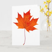 Roodesdoornblad Kaart (Gele Bloem)