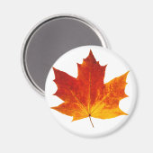 Roodesdoornblad Magneet (Voorkant / Achterkant)