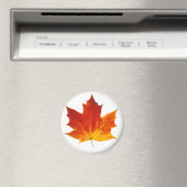 Roodesdoornblad Magneet (Insitu (Vaatwasser))