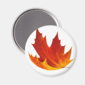 Roodesdoornblad Magneet (Voorkant / Achterkant)