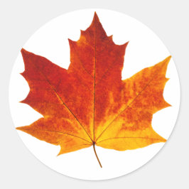 Roodesdoornblad Ronde Sticker