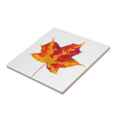 Roodesdoornblad Tegeltje (Zijkant)