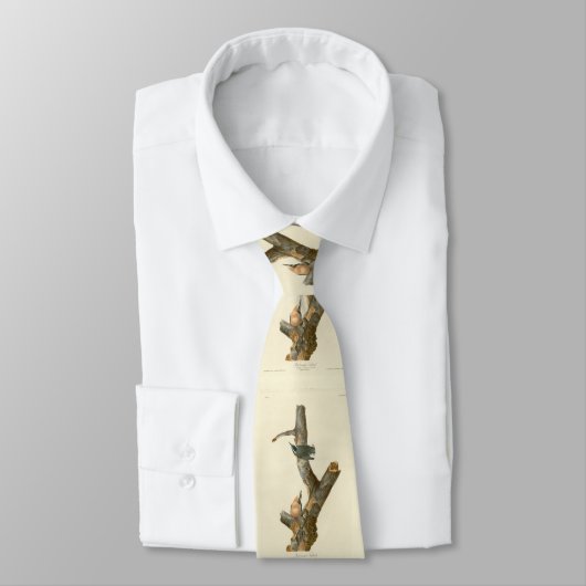 Roodgebrande Nuthatch - Amerikaanse vogels Stropdas (Gebonden)