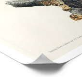 Roodgebrande Nuthatch door Poster van Audubon (Hoek)