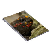 Roodgekleurde schildpad notitieboek (Rechterzijde)