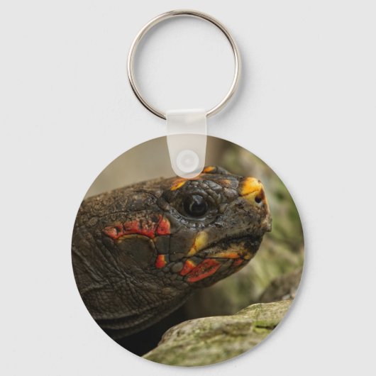 Roodgekleurde schildpad sleutelhanger (Voorkant)