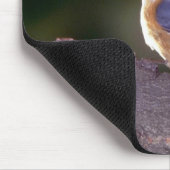 Roodgekruiste Nuthatch op bijkantoor Muismat (Hoek)