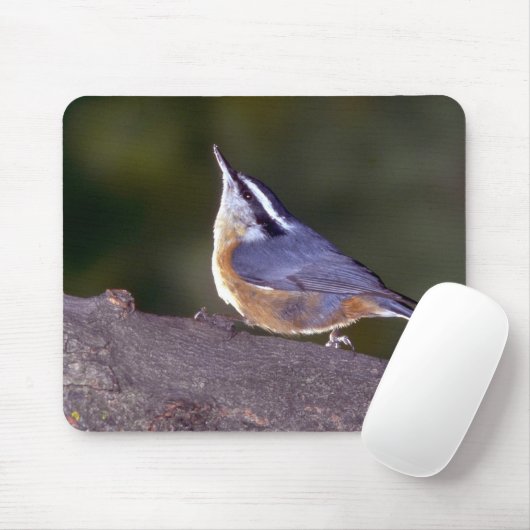 Roodgekruiste Nuthatch op bijkantoor Muismat (Met muis)