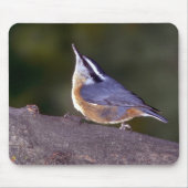 Roodgekruiste Nuthatch op bijkantoor Muismat (Voorkant)