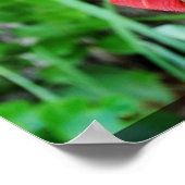 Roodgele ventilator poster (Hoek)