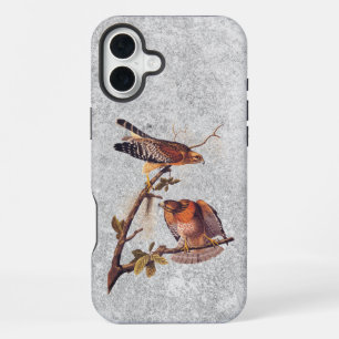 Roodgeschouderde Havik Audubon Roofvogel iPhone 16 Plus Hoesje
