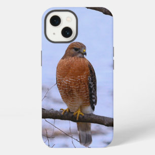 Roodgeschouderde havik iPhone 13 Hoes Hoesje