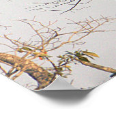 Roodgeschouderde Hawk Photo Poster (Hoek)
