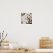 Roodgeschouderde Hawk Photo Poster (Keuken)