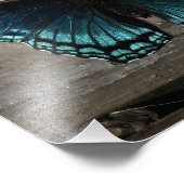 roodgevlekte Paarse borstelvoetvlinder Foto Afdruk (Hoek)