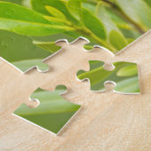 Roodgevleugelde merel (Agelaius Phoeniceus) Legpuzzel (Zijkant)