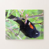 roodgevleugelde merel legpuzzel (Horizontaal)