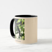 roodgevleugelde merel-Mok Mok (Voorkant links)