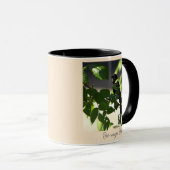 roodgevleugelde merel-Mok Mok (Voorkant rechts)