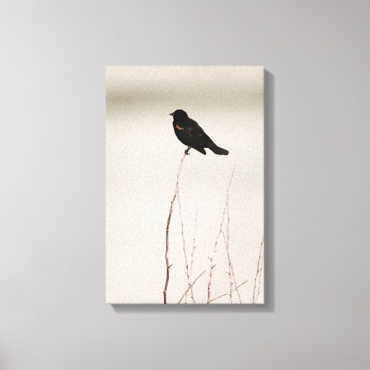 roodgevleugelde merel op tak canvas afdruk (Voorkant)