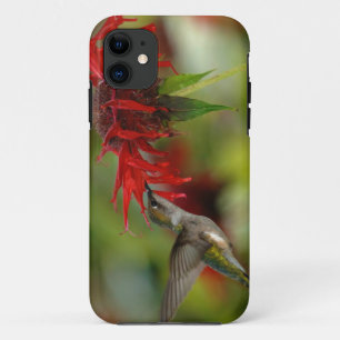 Roodgewortelde kolibrie Archilochus Colubris Case-Mate iPhone Case