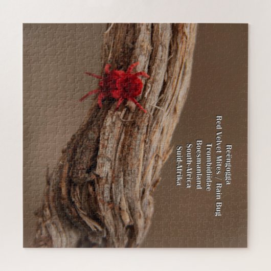 Roodgewrichtspijn Legpuzzel (Horizontaal)