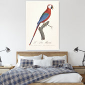 Roodgroene Ara, Ara chloropterus Canvas Afdruk (Insitu (Slaapkamer))