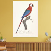 Roodgroene Ara, Ara chloropterus Canvas Afdruk (Insitu (Woonkamer))