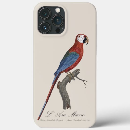 Roodgroene Ara, Ara chloropterus Case-Mate iPhone Case (Achterkant)