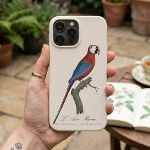 Roodgroene Ara, Ara chloropterus Case-Mate iPhone Case
