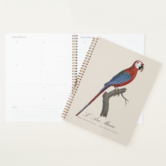 Roodgroene Ara, Ara chloropterus Planner (Display)