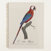 Roodgroene Ara, Ara chloropterus Planner (Voorkant)