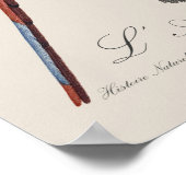 Roodgroene Ara, Ara chloropterus Poster (Hoek)