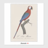 Roodgroene Ara, Ara chloropterus Sticker (Vel)