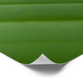 Roodgroene boomkikker poster (Hoek)