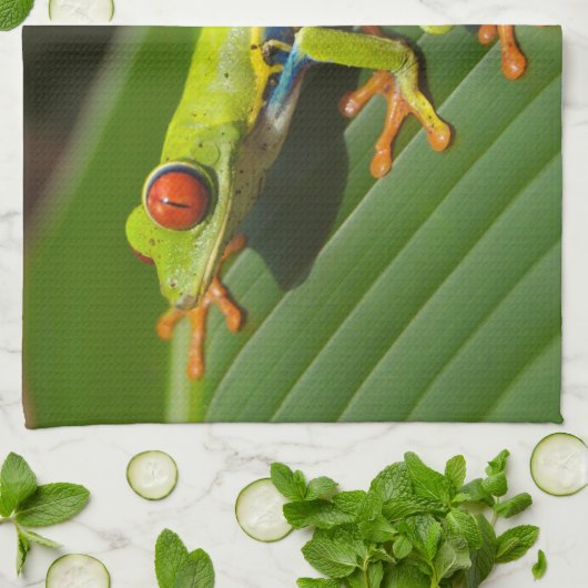 Roodgroene boomkikker theedoek (Gevouwen)