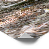 Roodhalswallaby en zijn jong op vakantie  poster (Hoek)